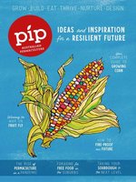 Pip Magazine